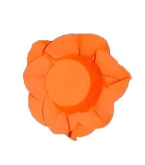 flores-laranja-fluorescente-1-2